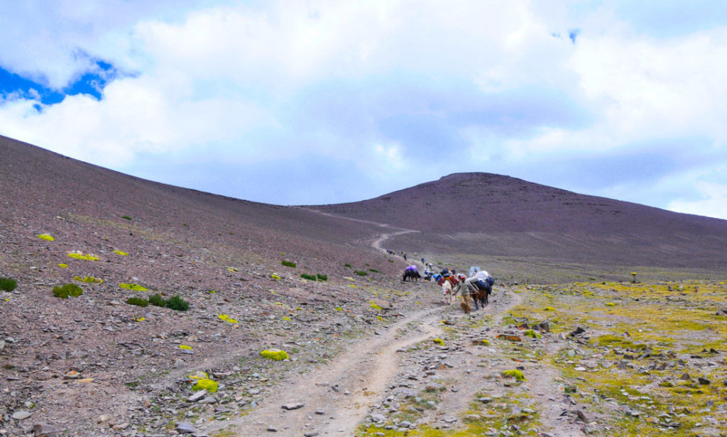 Last 300 meters before reaching Gongmaru La pass, the highest point of Markha Valley trek (5,200m)