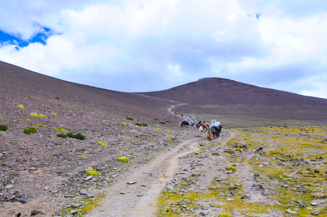 Los últimos 300 metros antes de llegar al Gongmaru La pass, el punto más alto de todo el trekking del valle de Markha, a 5,200 metros de altitud