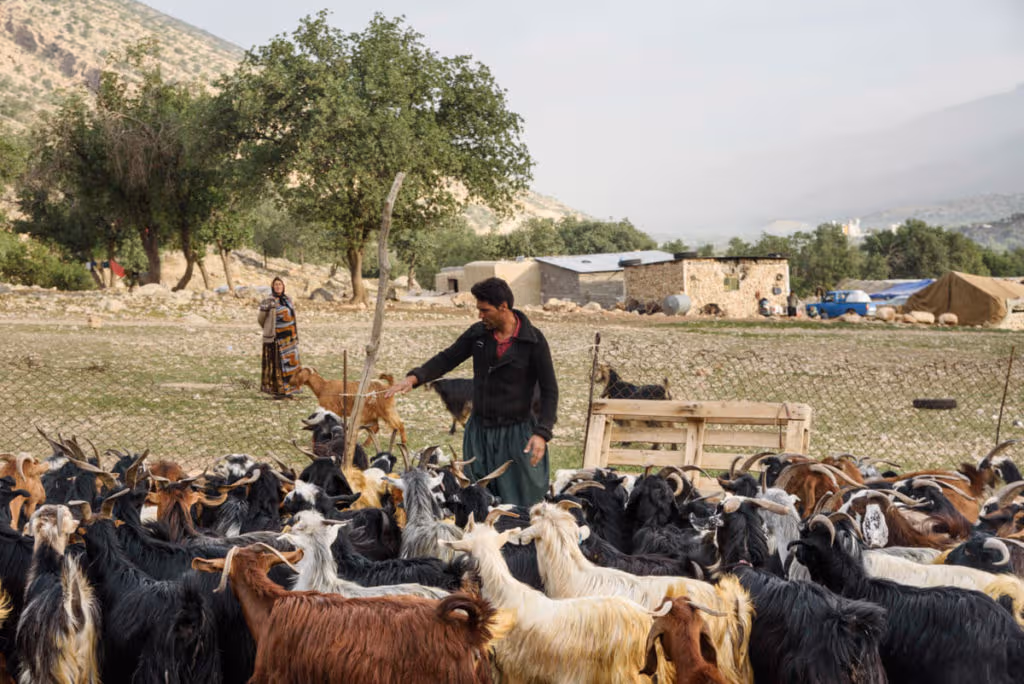 Iranian tribes