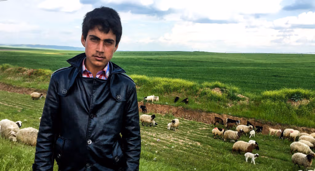 A young Iraqi shepherd
