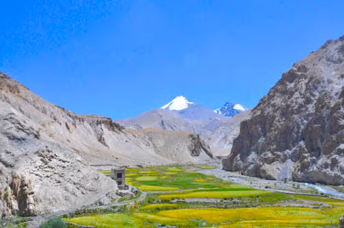 Markha Valley trek: How to do it independently