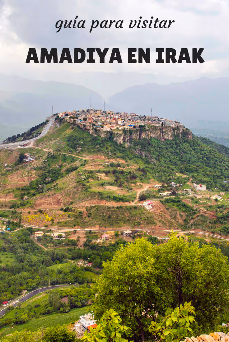 amedi