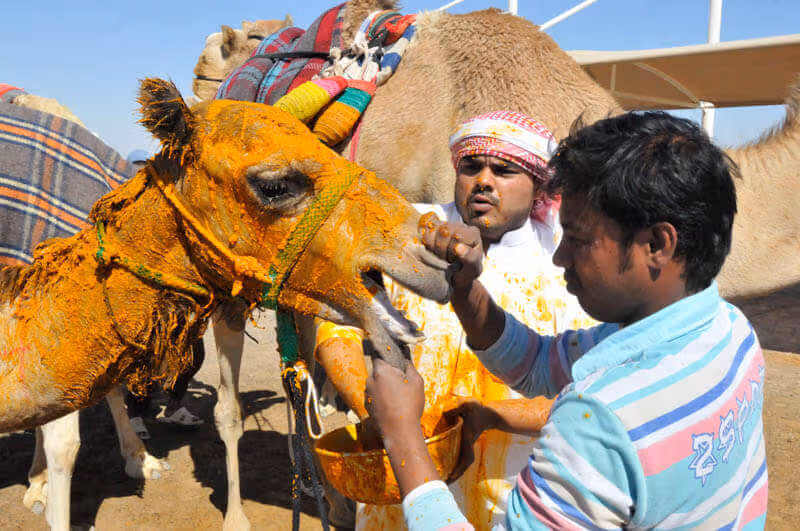 lugares para visitar en Dubai