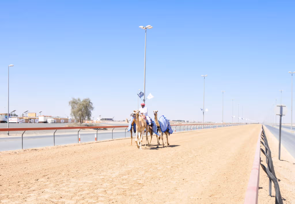Budget trip to Dubai