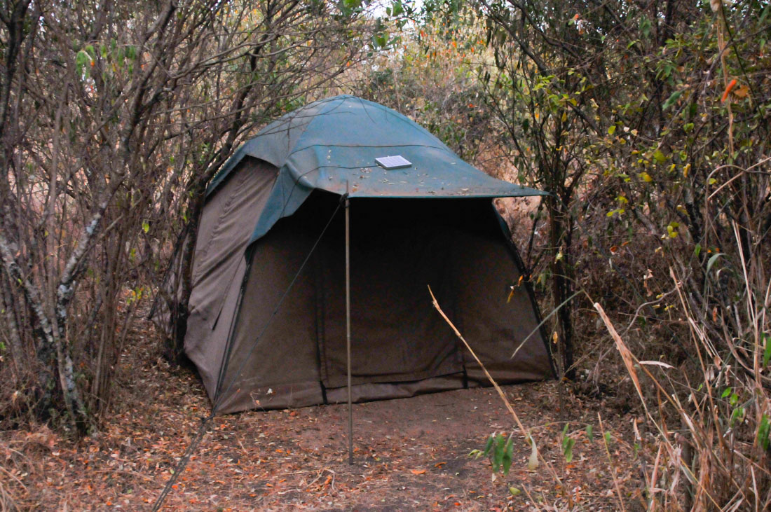 Tienda de campaña del Mara Explorers, Maasai Mara