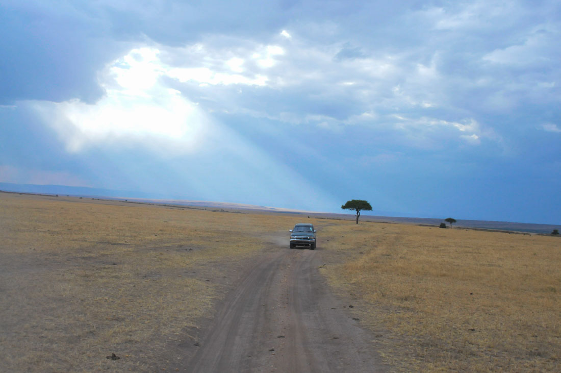 How to do a safari in Kenya on a budget Step by step guide Against