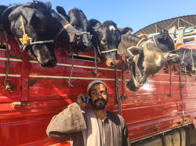 Egypt off the beaten track: My top 7 favorite places