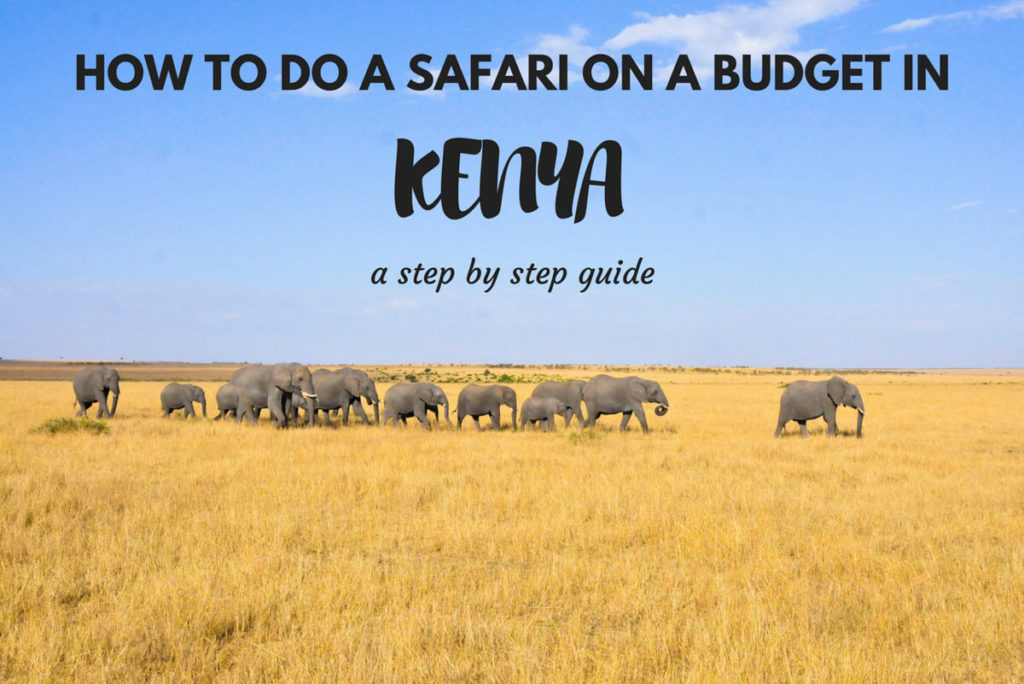 kenya safari on a budget