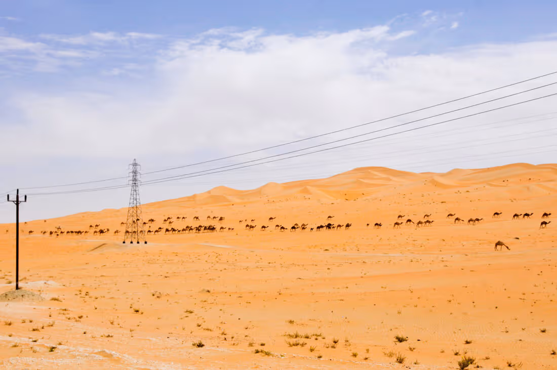 Oasis de Liwa Abu Dhabi