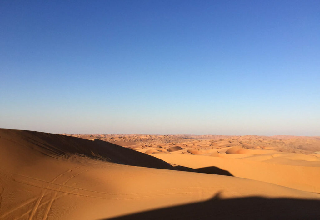 A guide to Liwa Oasis and the Moreeb dune (Tal Mireb ...