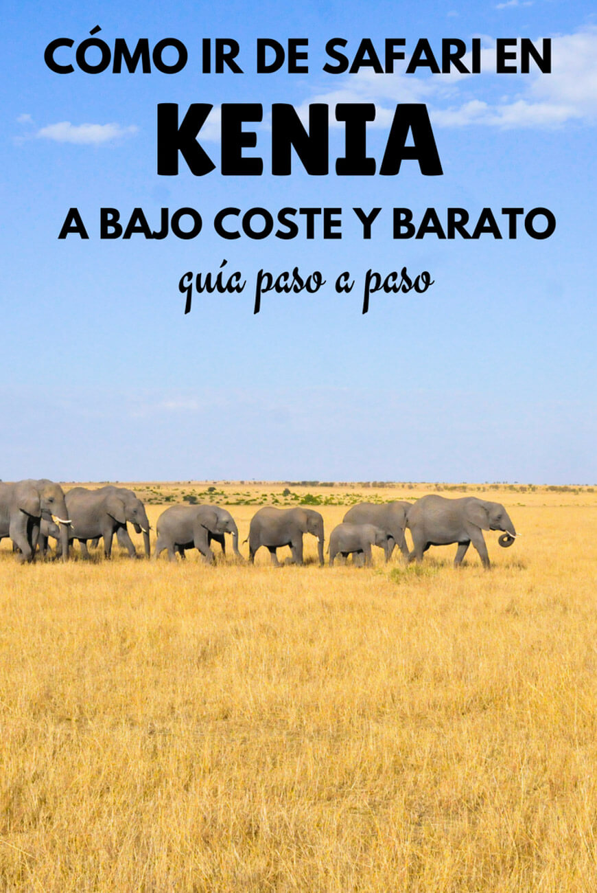 safari barato kenia