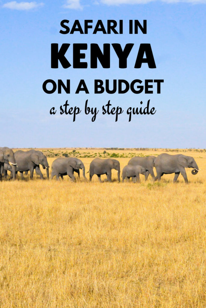 Best souvenirs to buy in Kenya, Kenya Safaris Tours