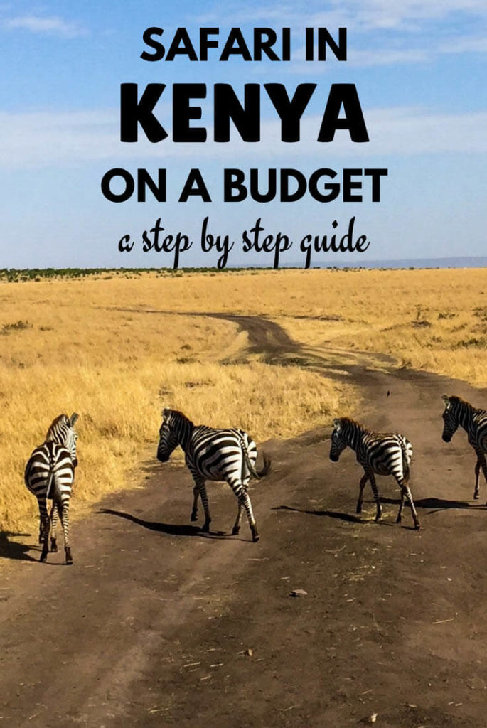 How to do a safari in Kenya on a budget