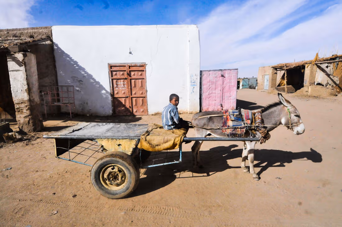 A kid with his donkey in Sudan