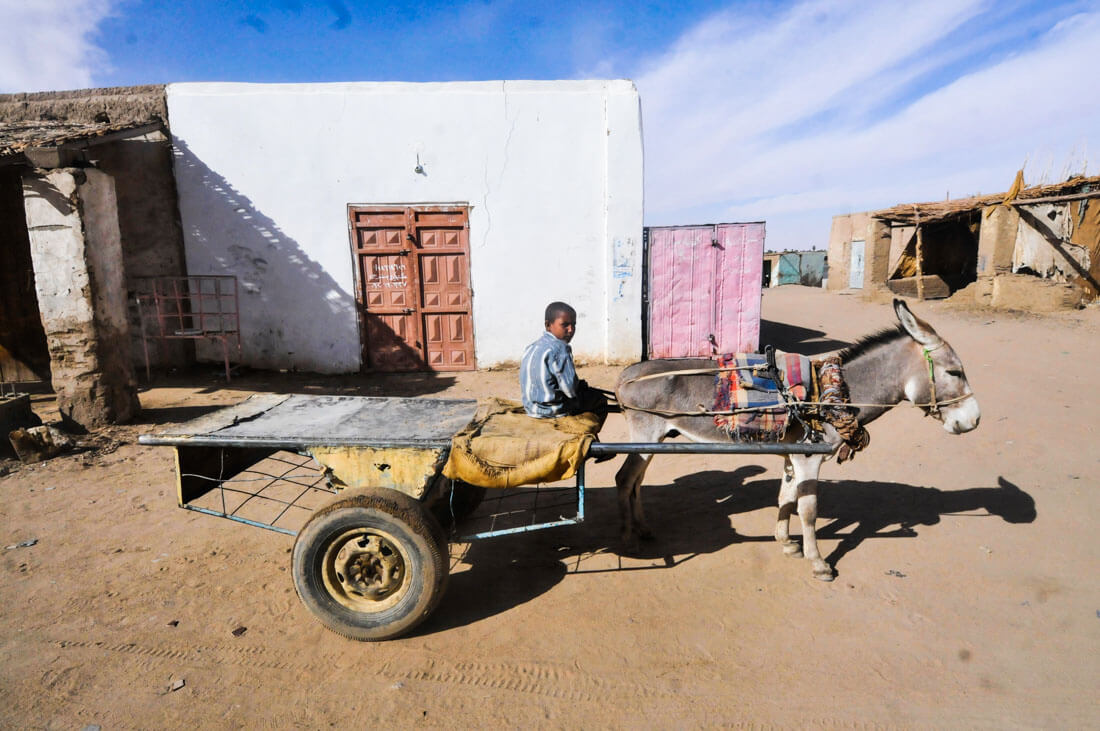 Un niño con su burro, en Sudán