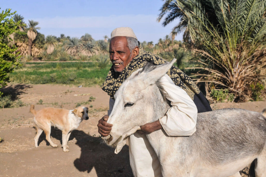 A Nubian trying to calm down his donky