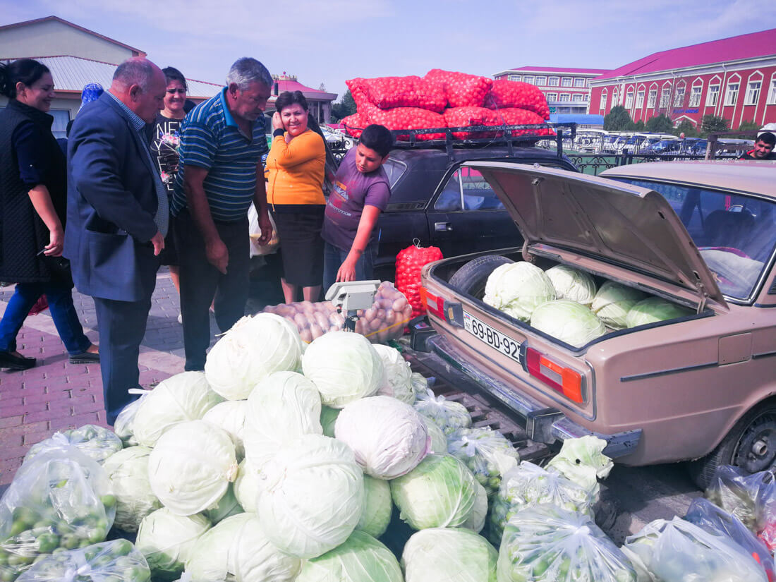 work and travel azerbaijan 2022