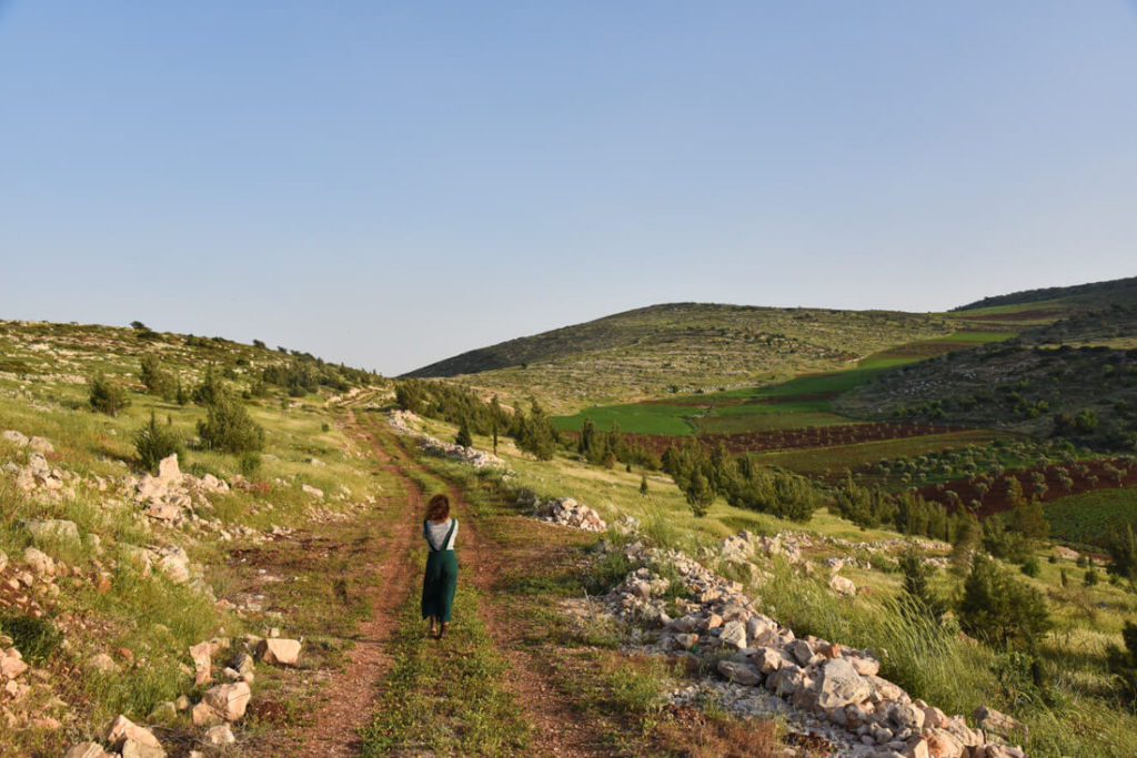 Las verdes colinas situadas en los alrededores de Jenin (Raba village)