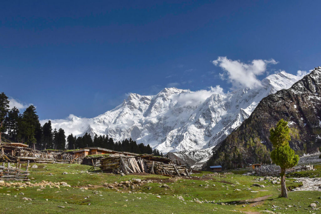 Behal camp site, Fairy Meadows