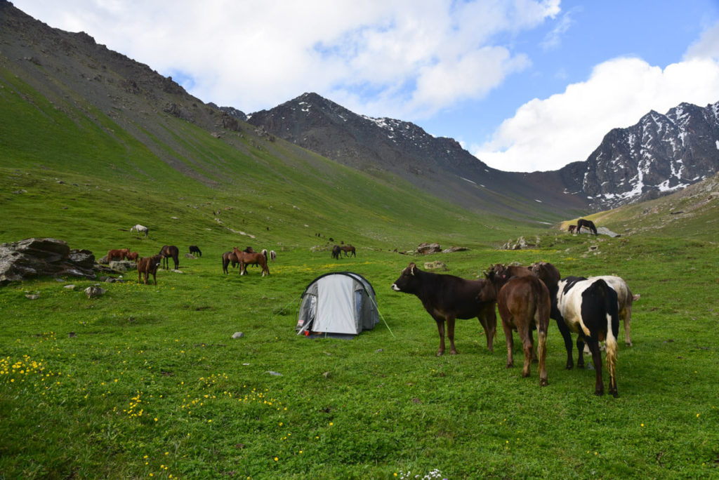 Camping in Kyrgyzstan