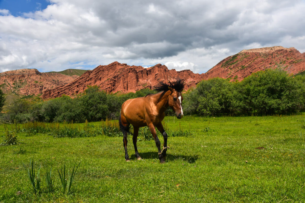 Jeti Oguz, Karakol