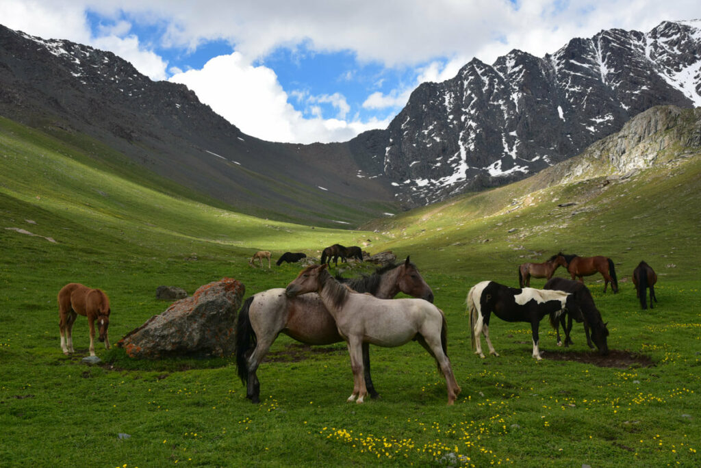 Montañismo en Kirguistán