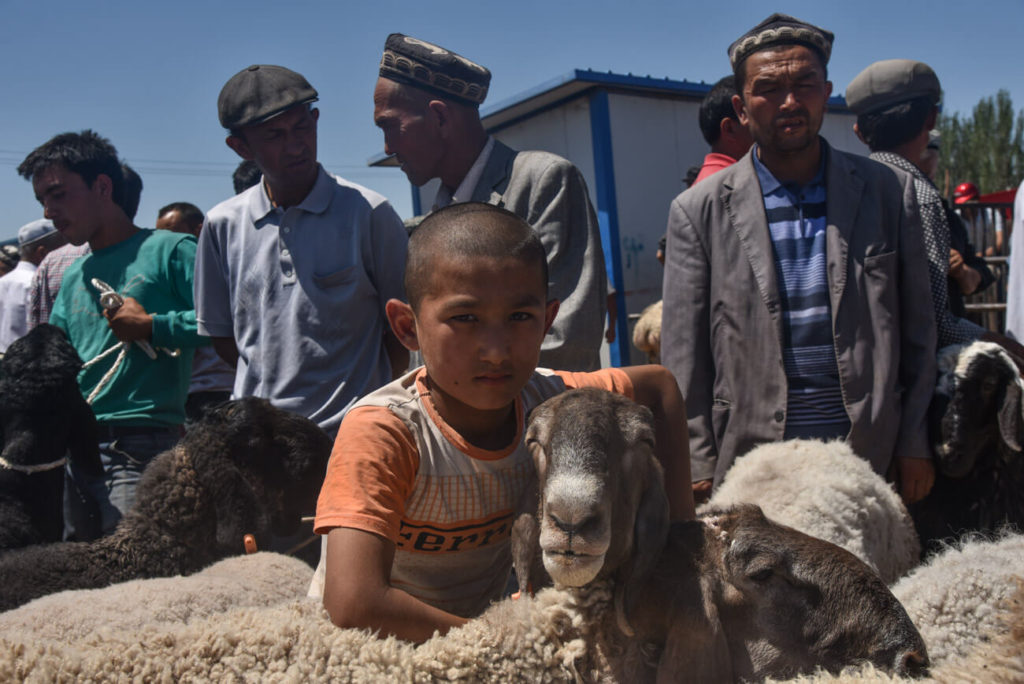 Animal market of Kashgar