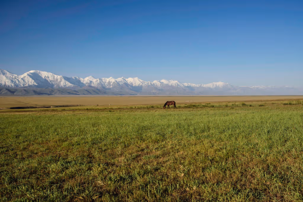 Alay Valley