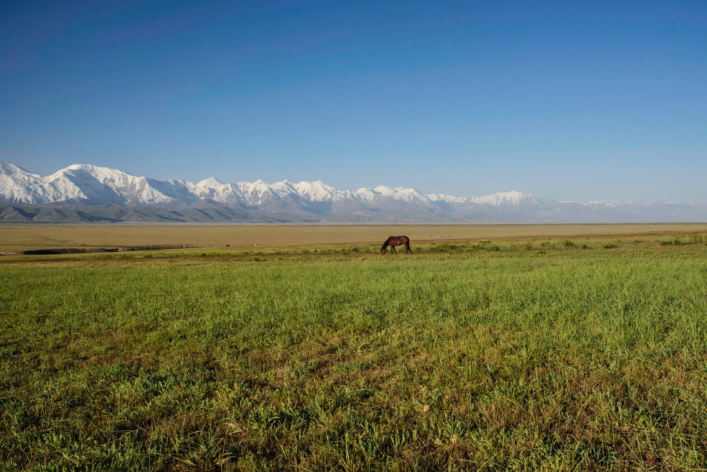 The Alay valley, Kyrgyzstan