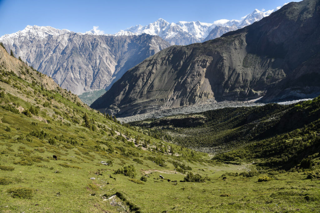 Mt Rakaposhi