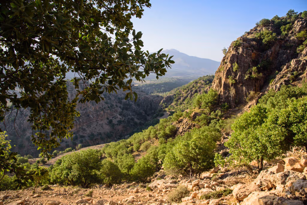 Montes Zagros ubicación