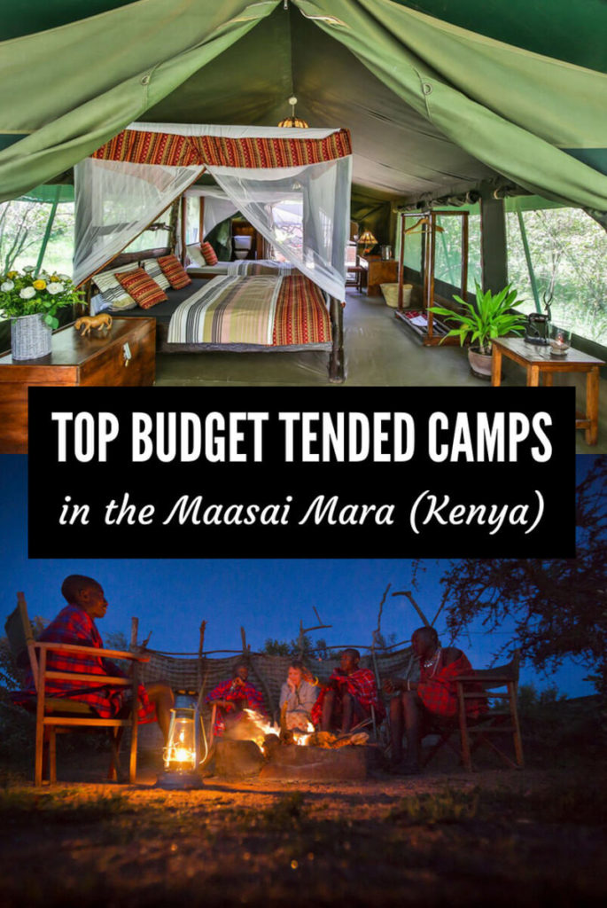 Budget camps in the Maasai Mara
