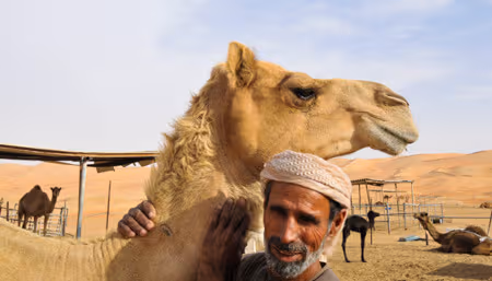 A guide to Liwa Oasis and the Moreeb dune