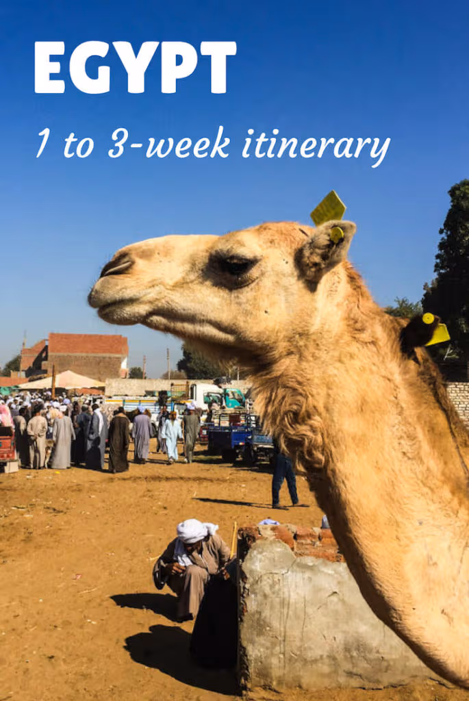 backpacking Egypt