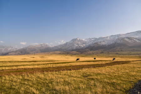 Tips for traveling Kazakhstan in 2025