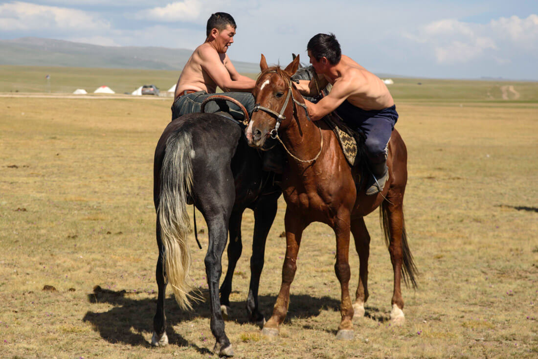 Horse wrestling