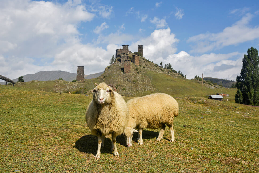 Tusheti