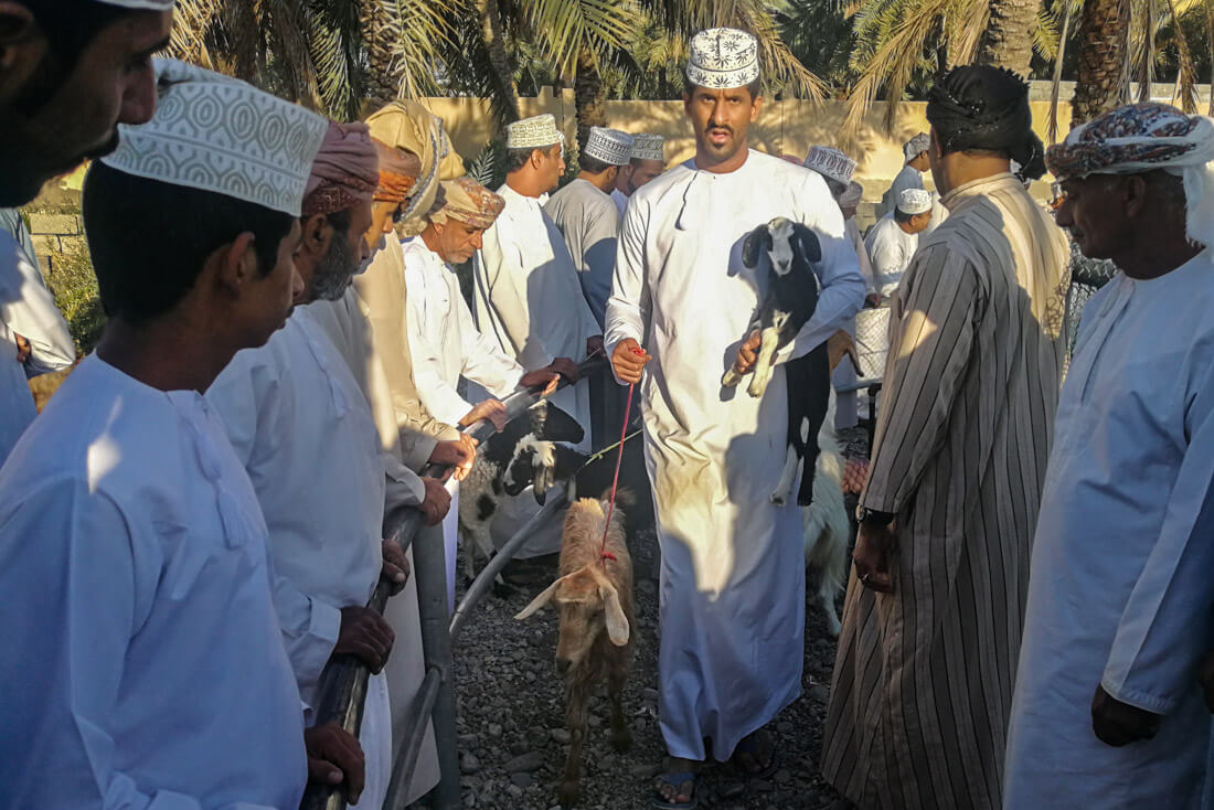 Mercado animales Nizwa