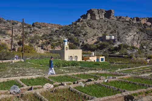 Is Oman safe in 2025?