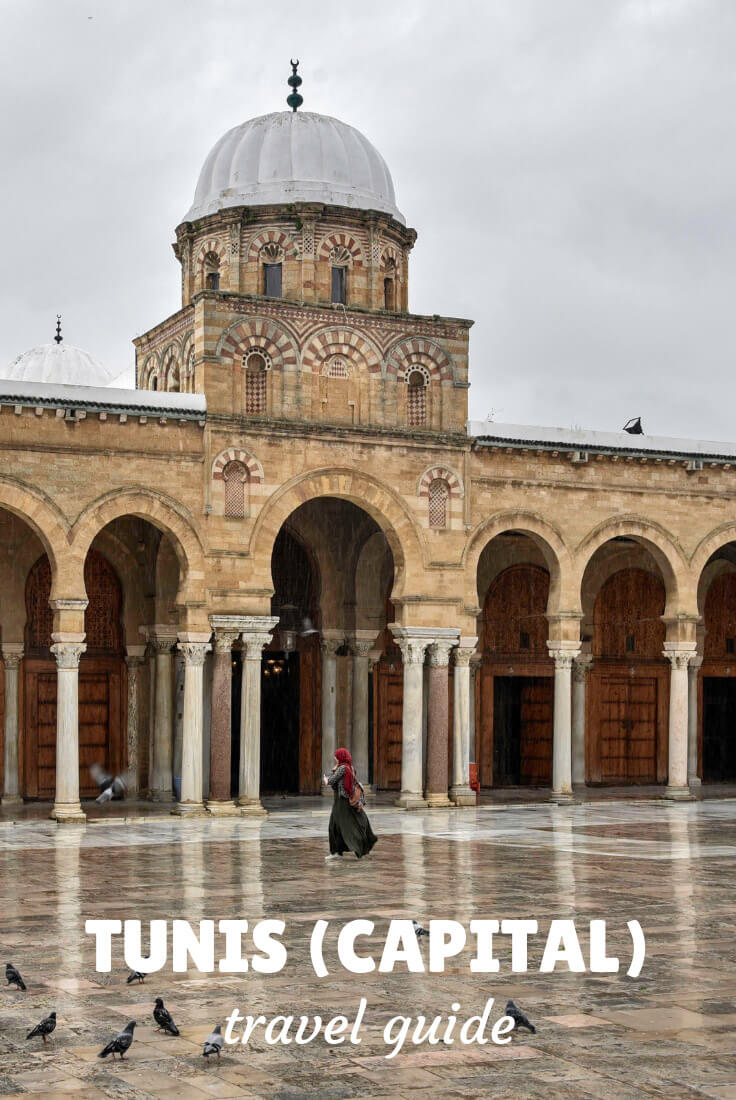 travel in Tunis