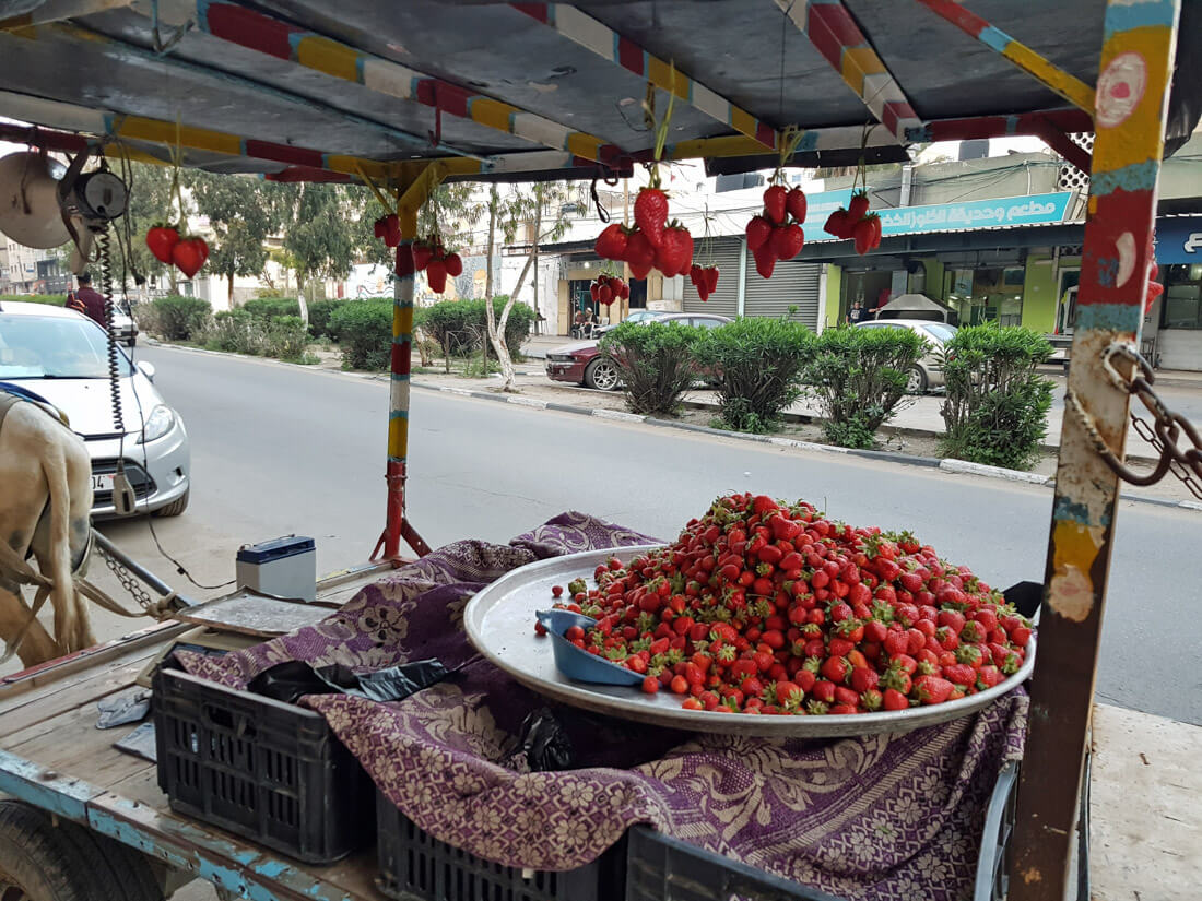 palestine travel safety