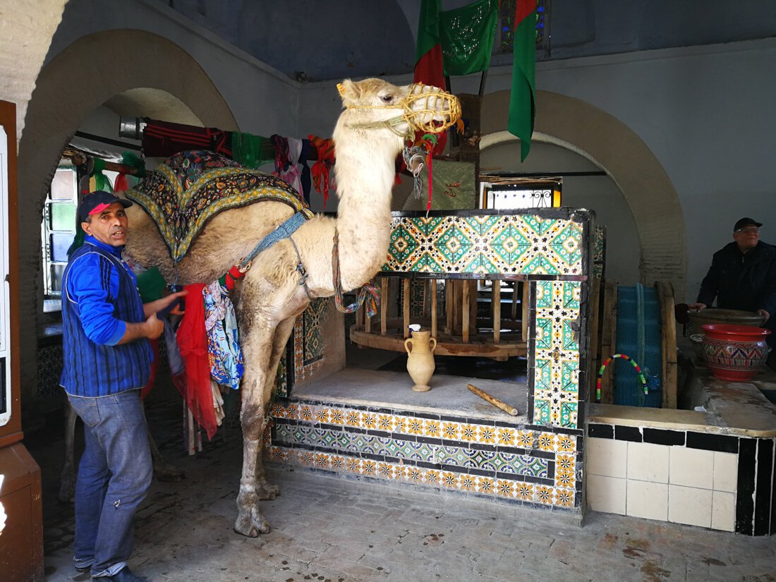 the guardian travel tunisia