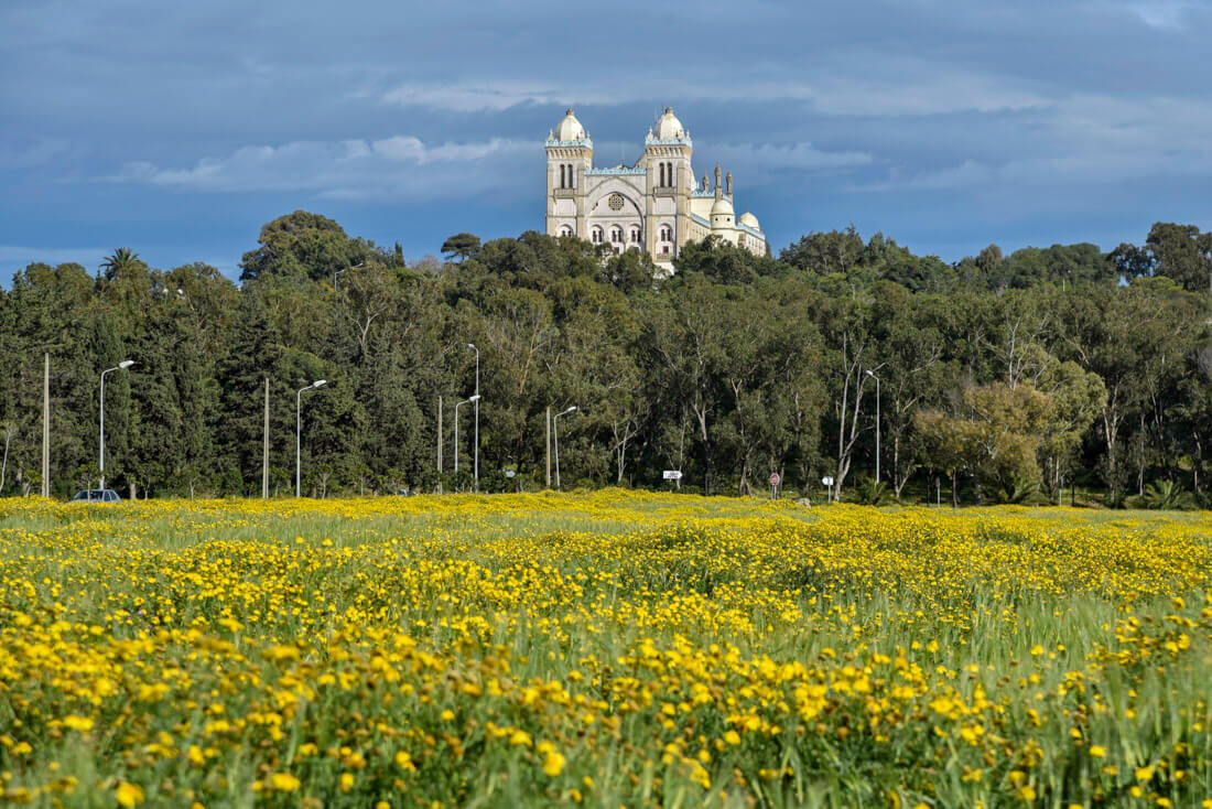 mejor época para visitar Túnez