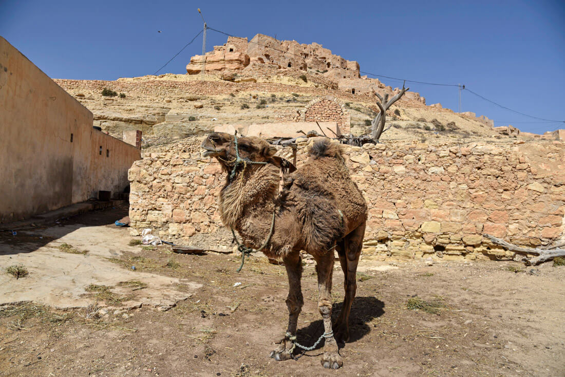 ruta turistica por Túnez