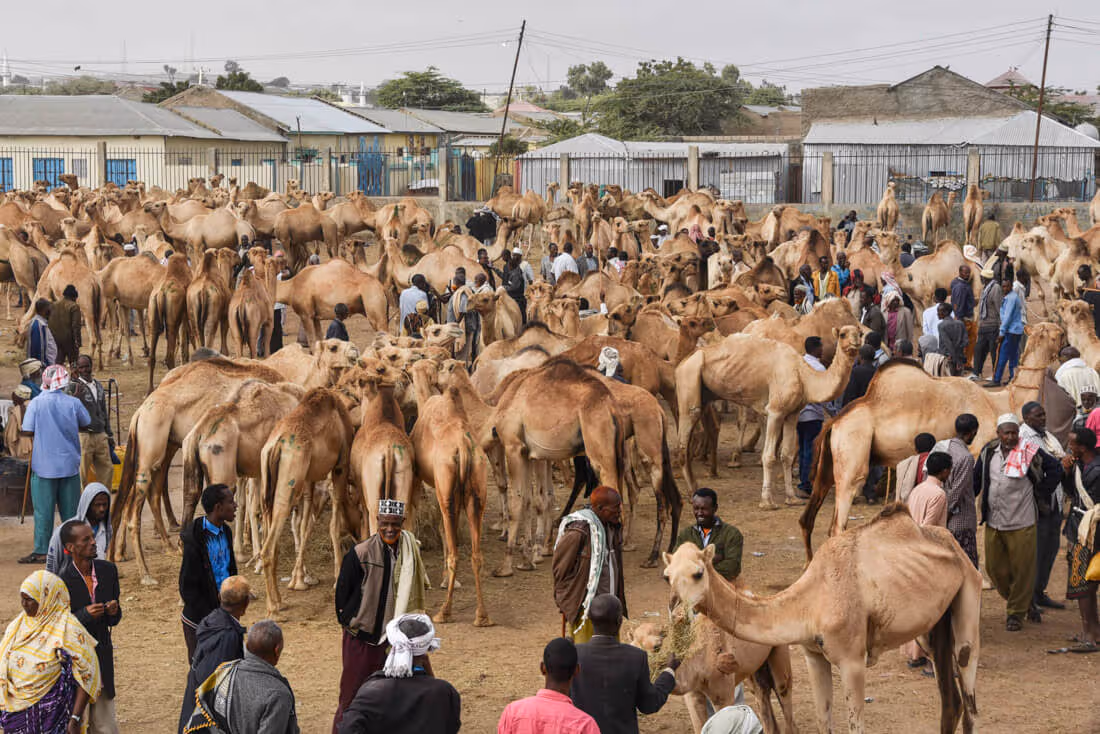 Somaliland travel