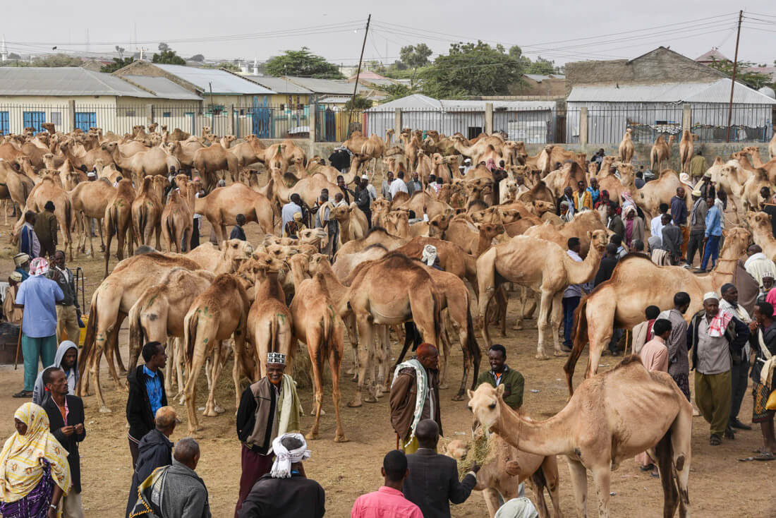 Somaliland travel