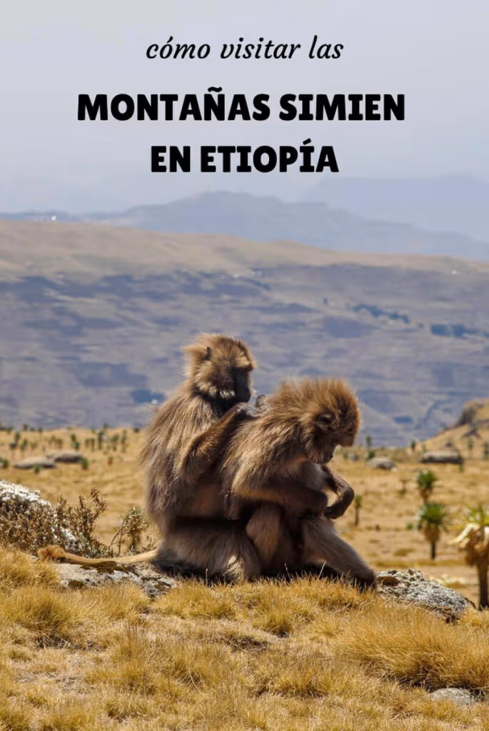 visitar montañas Simien