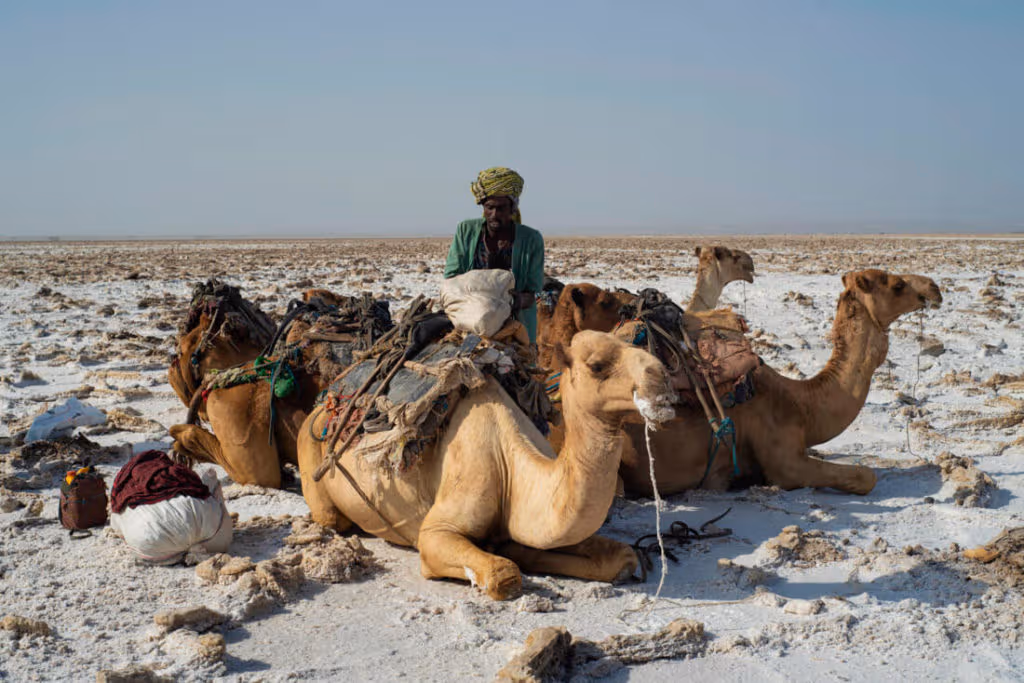 danakil depression tour from mekele