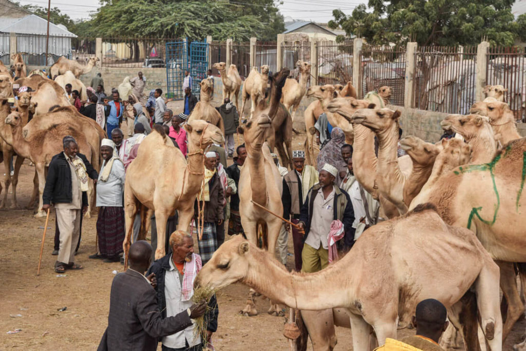 tourist attraction meaning in somali