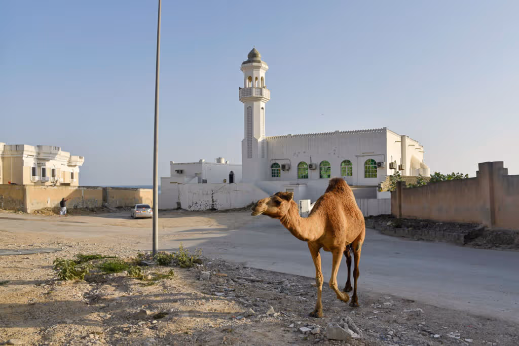 Dalkut Oman